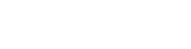Insights Global
